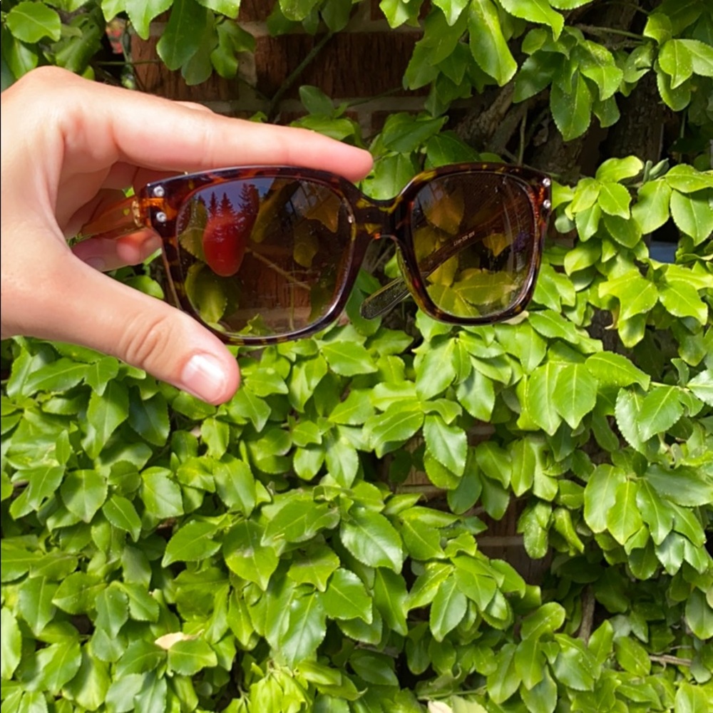 Brown Sunglasses